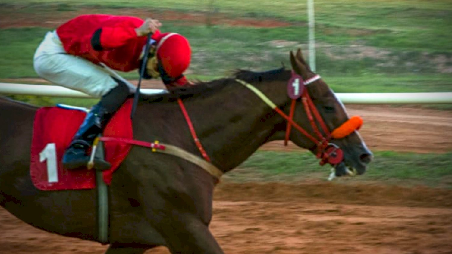 Goloso ganador del GP Presidente de la Rca.