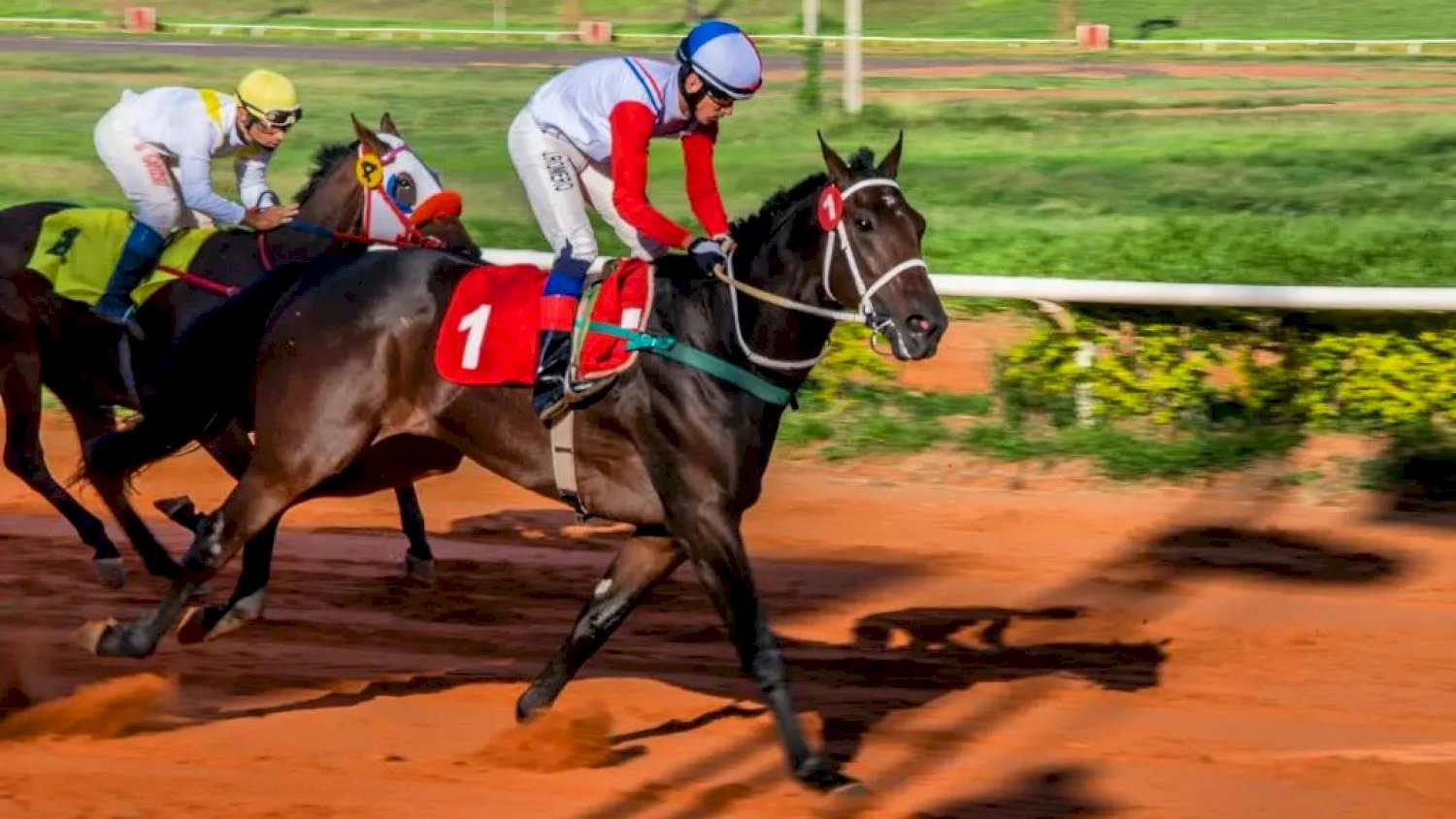 Dom Pablo con José Romero