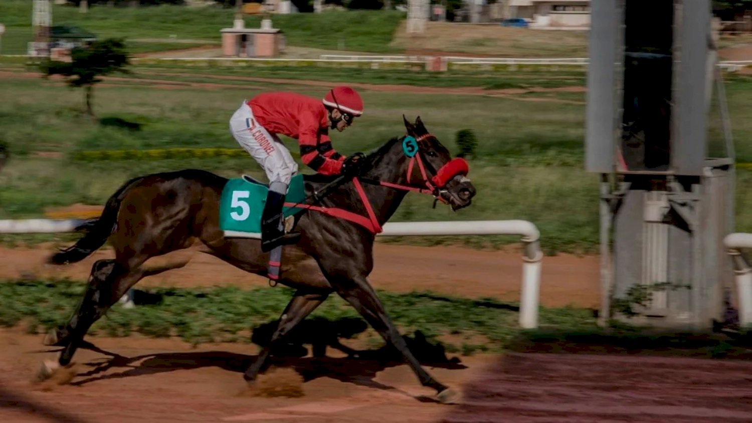 Che Salteña con Alcides Coronel