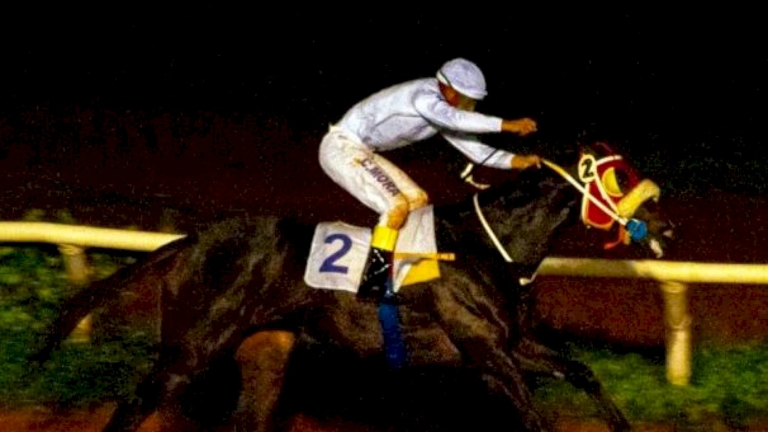 Palo Santo con Cèsar Mora